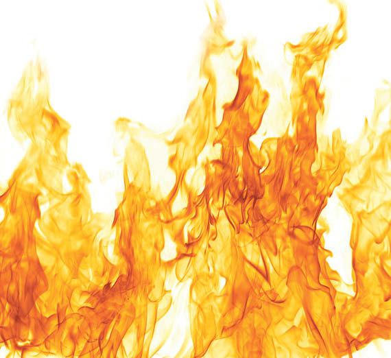 رسم توضيحي للأرض مع الأشجار والحيوانات